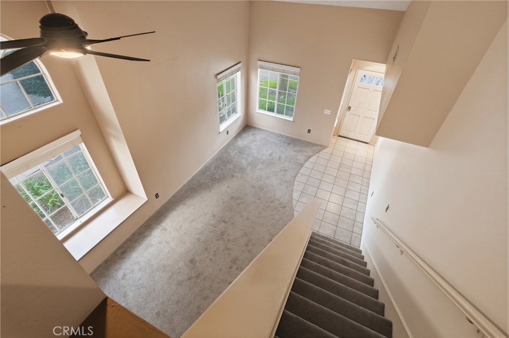 7331 Belpine Place 31