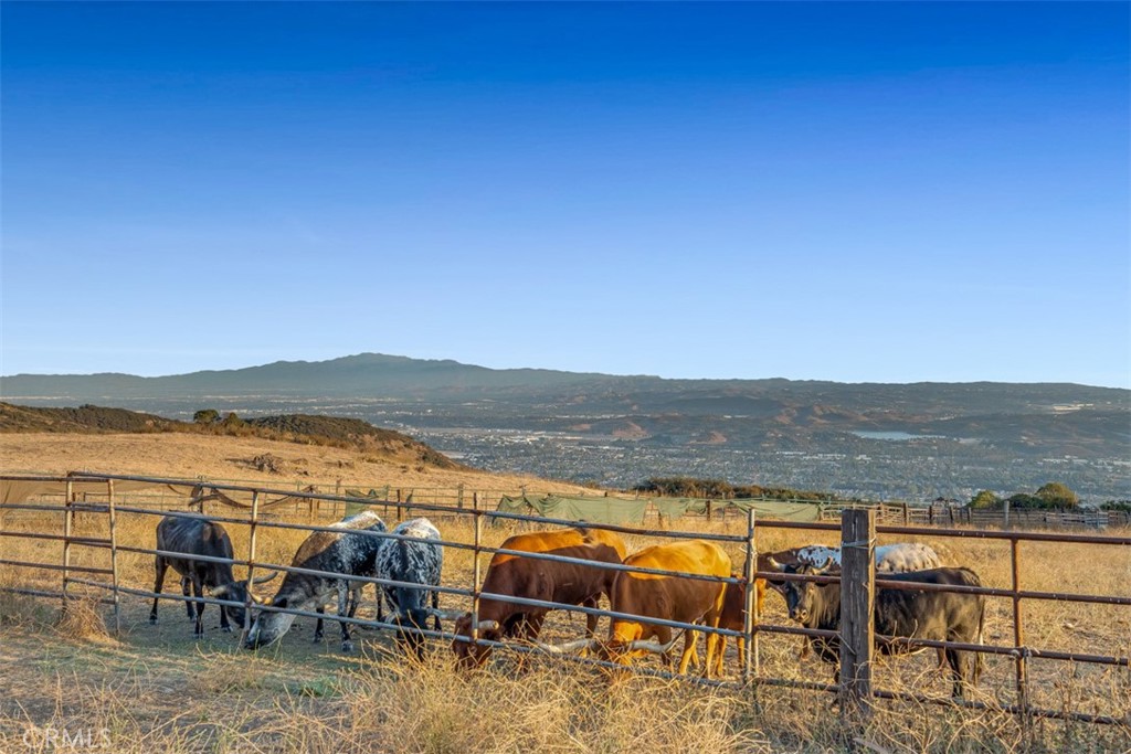 0 Sycamore Flats Motorway