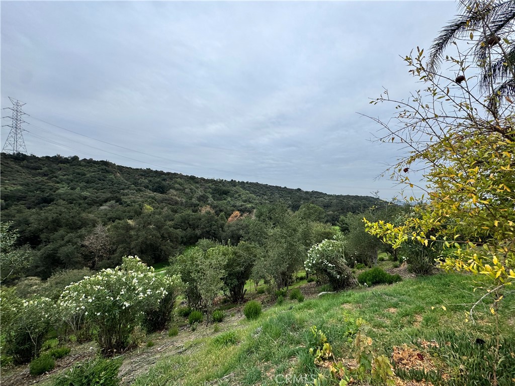 2142 Iron Club Drive