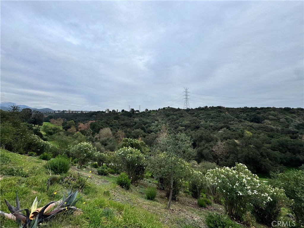 2142 Iron Club Drive