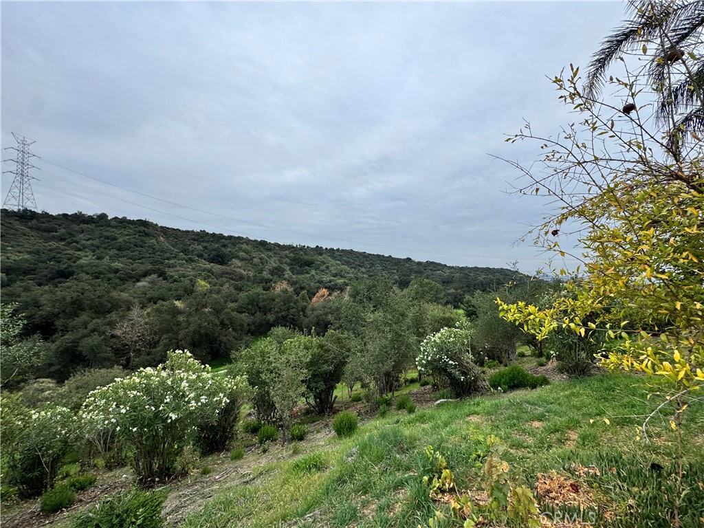 2142 Iron Club Drive