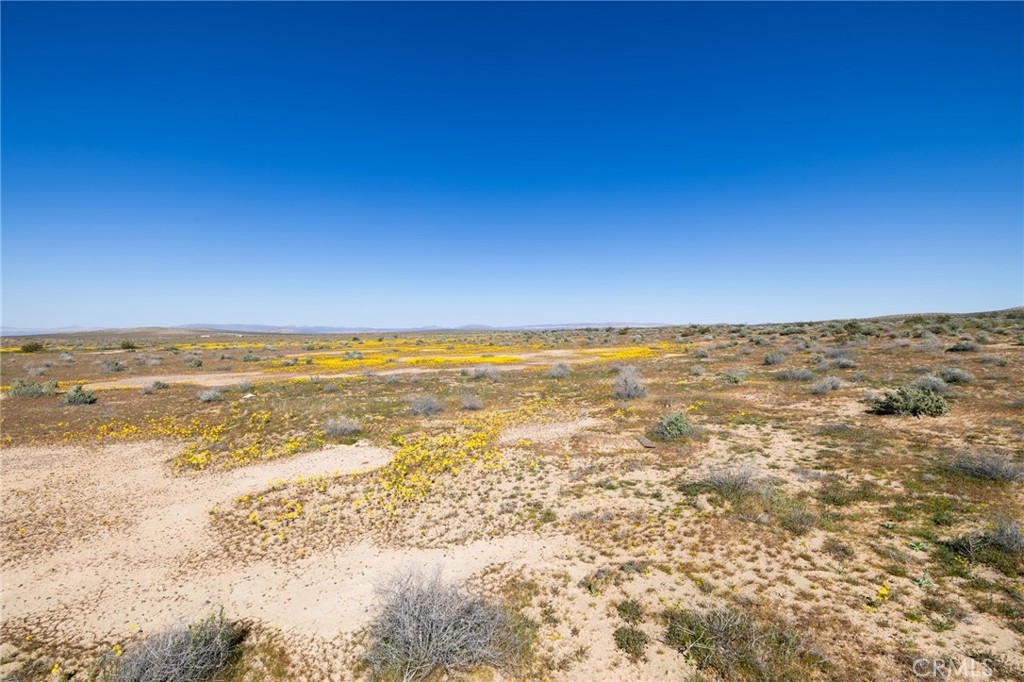 0 Vacant Land