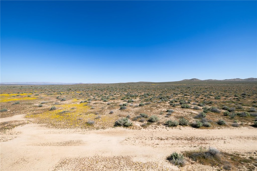 0 Vacant Land