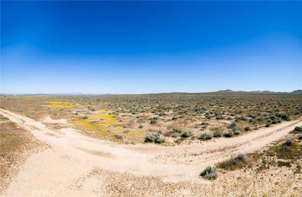 0 Vacant Land