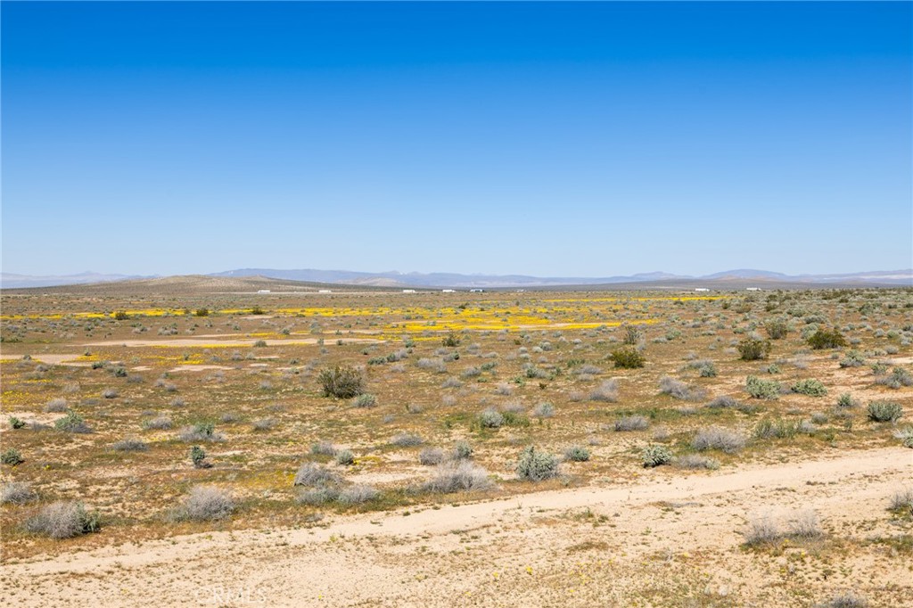 0 Vacant Land