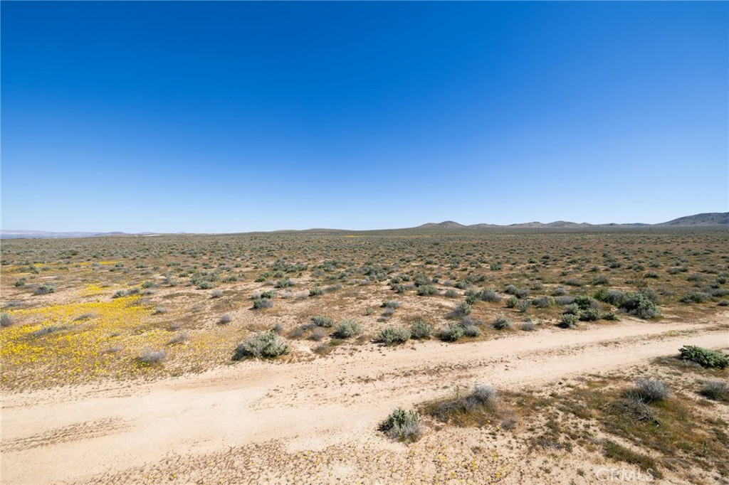 0 Vacant Land