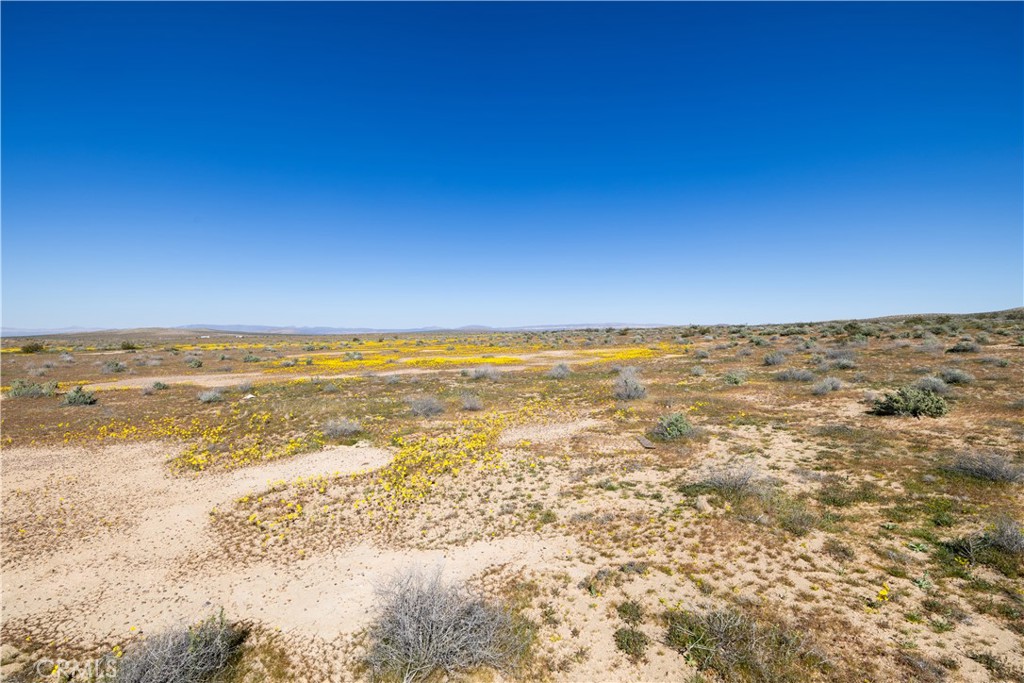 0 Vacant Land