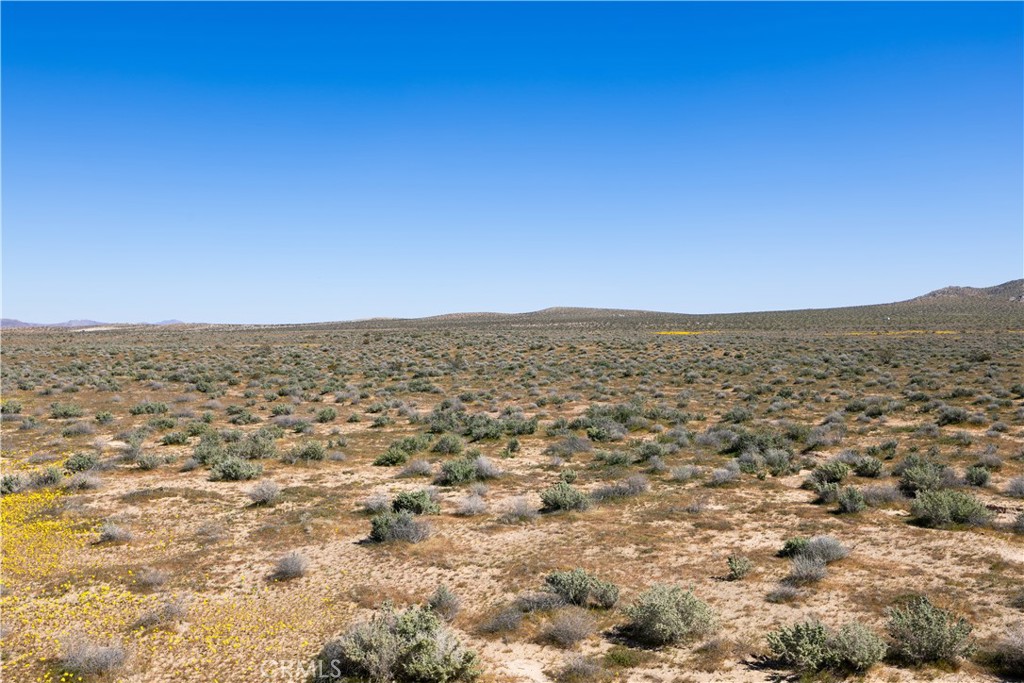 0 Vacant Land
