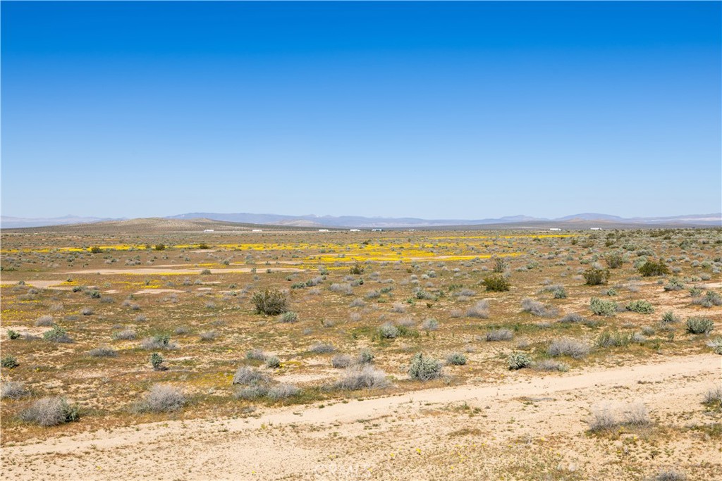 0 Vacant Land