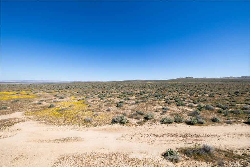 0 Vacant Land