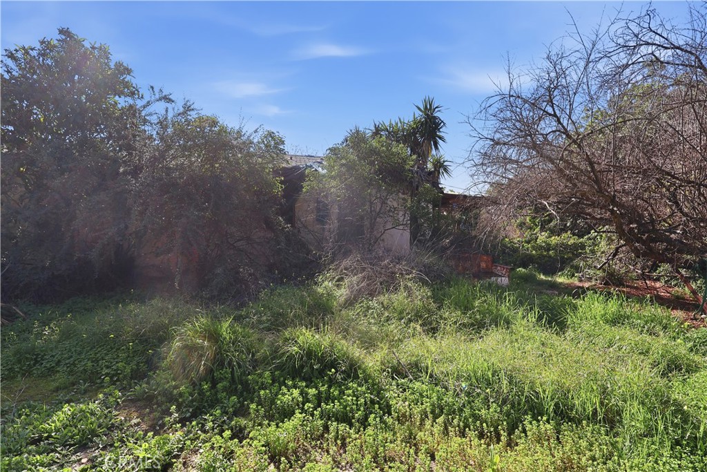 601 Camino De Gloria