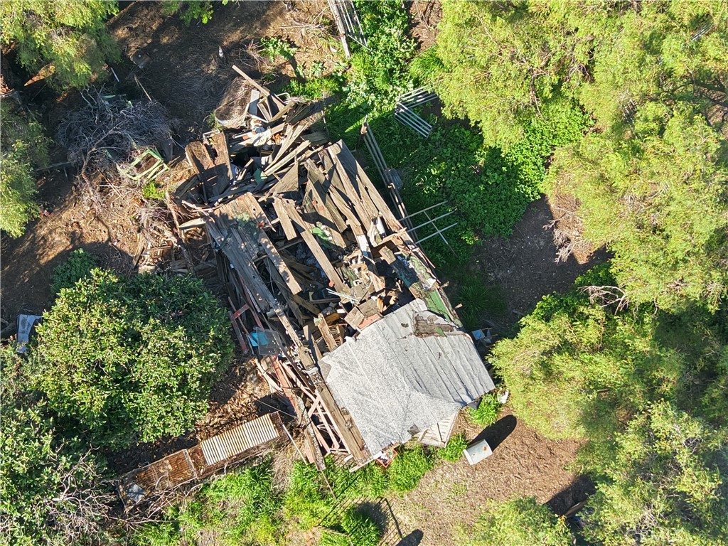 601 Camino De Gloria