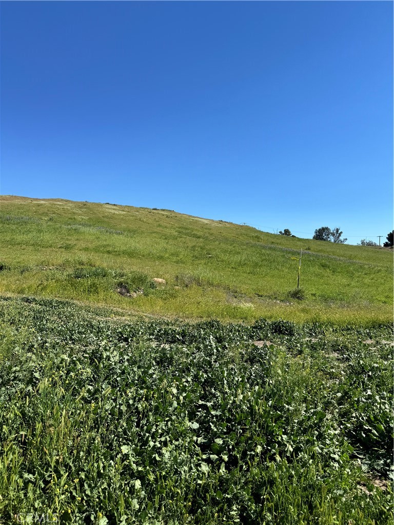 0 Vacant Land