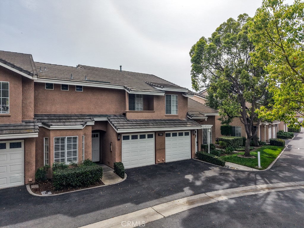 7331 Belpine 30