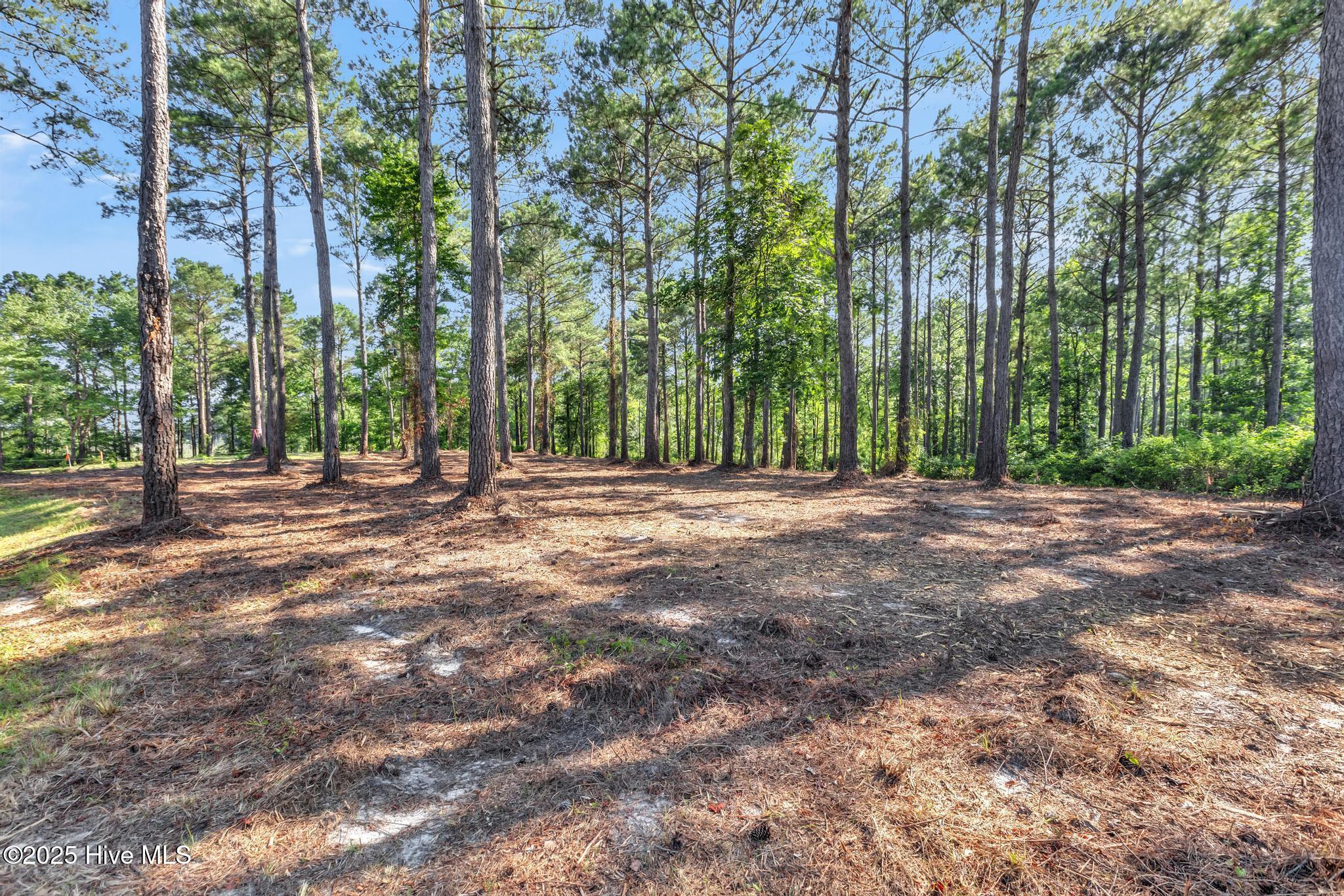 218 Alderman Landing Road