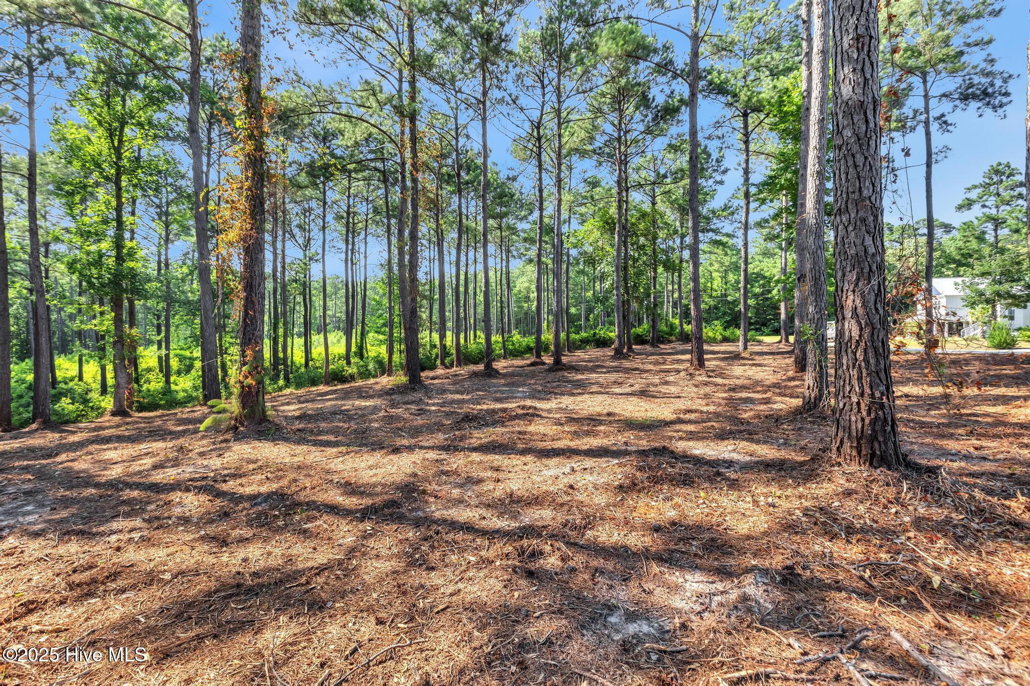 218 Alderman Landing Road