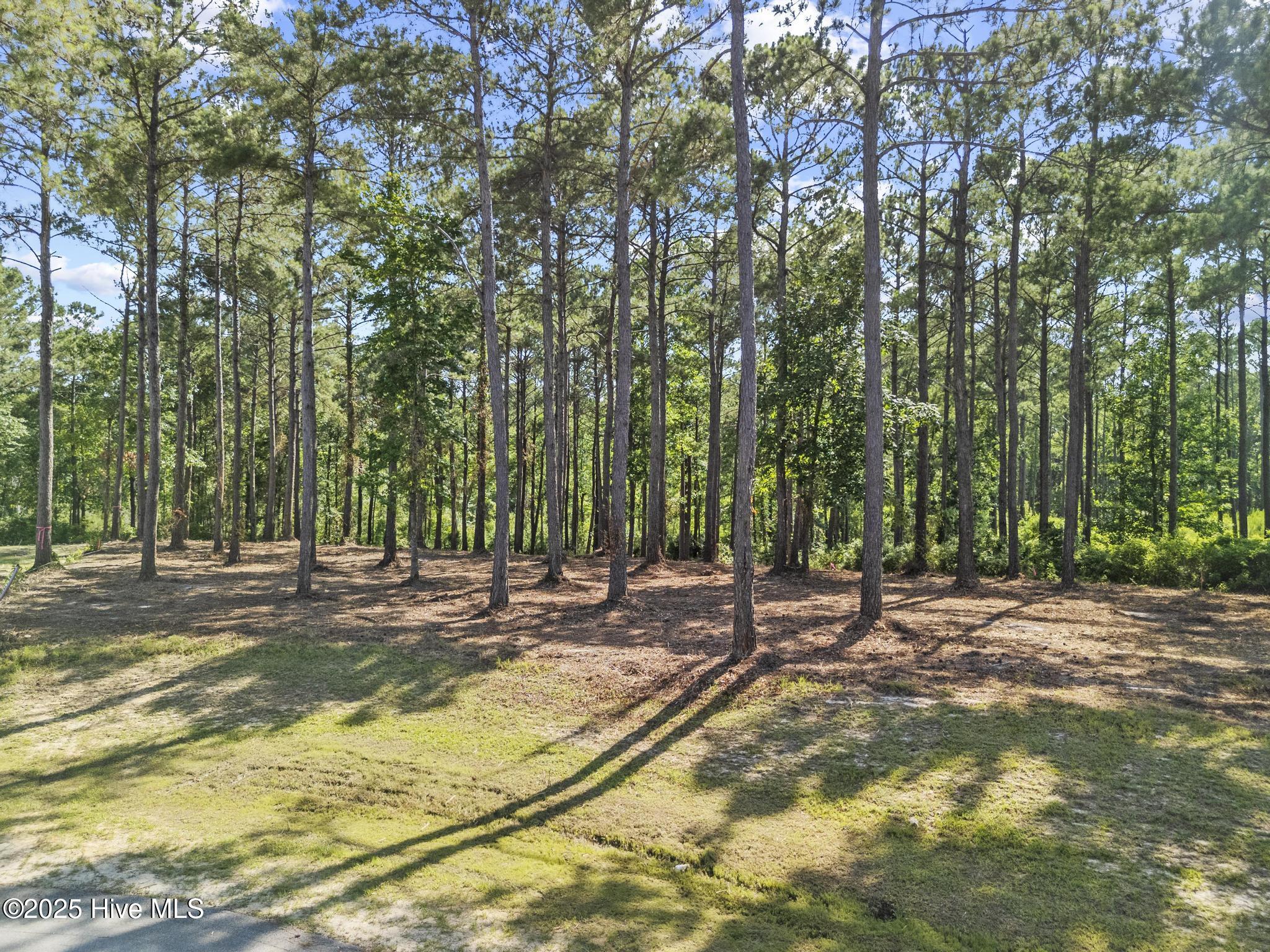 218 Alderman Landing Road