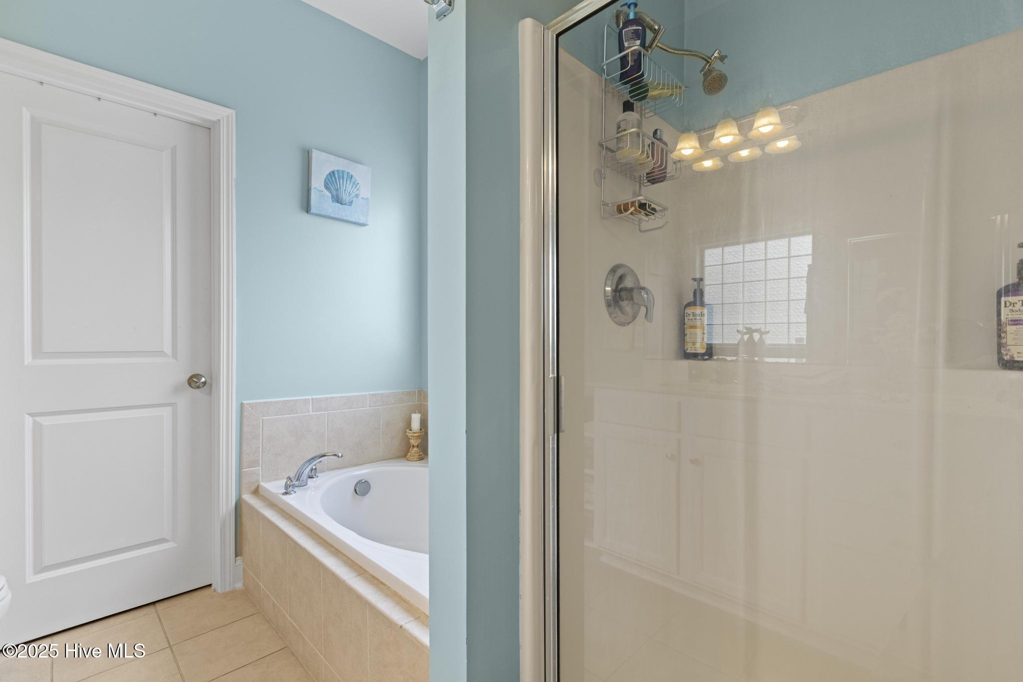 113 Moonstone Court