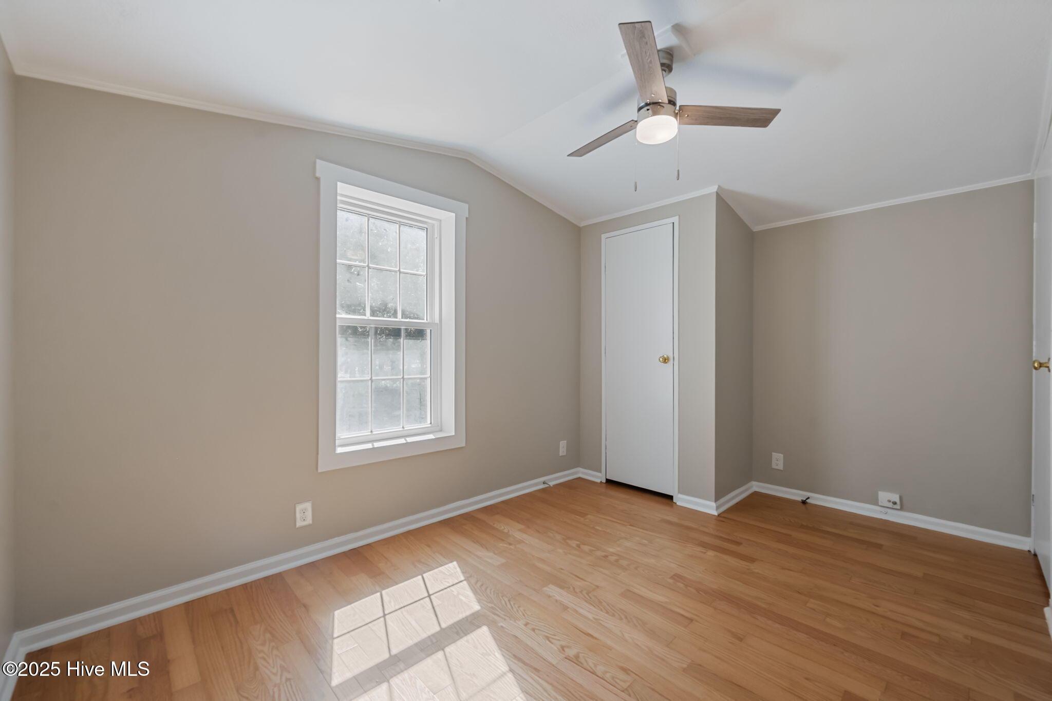 126 Shady Pines Drive