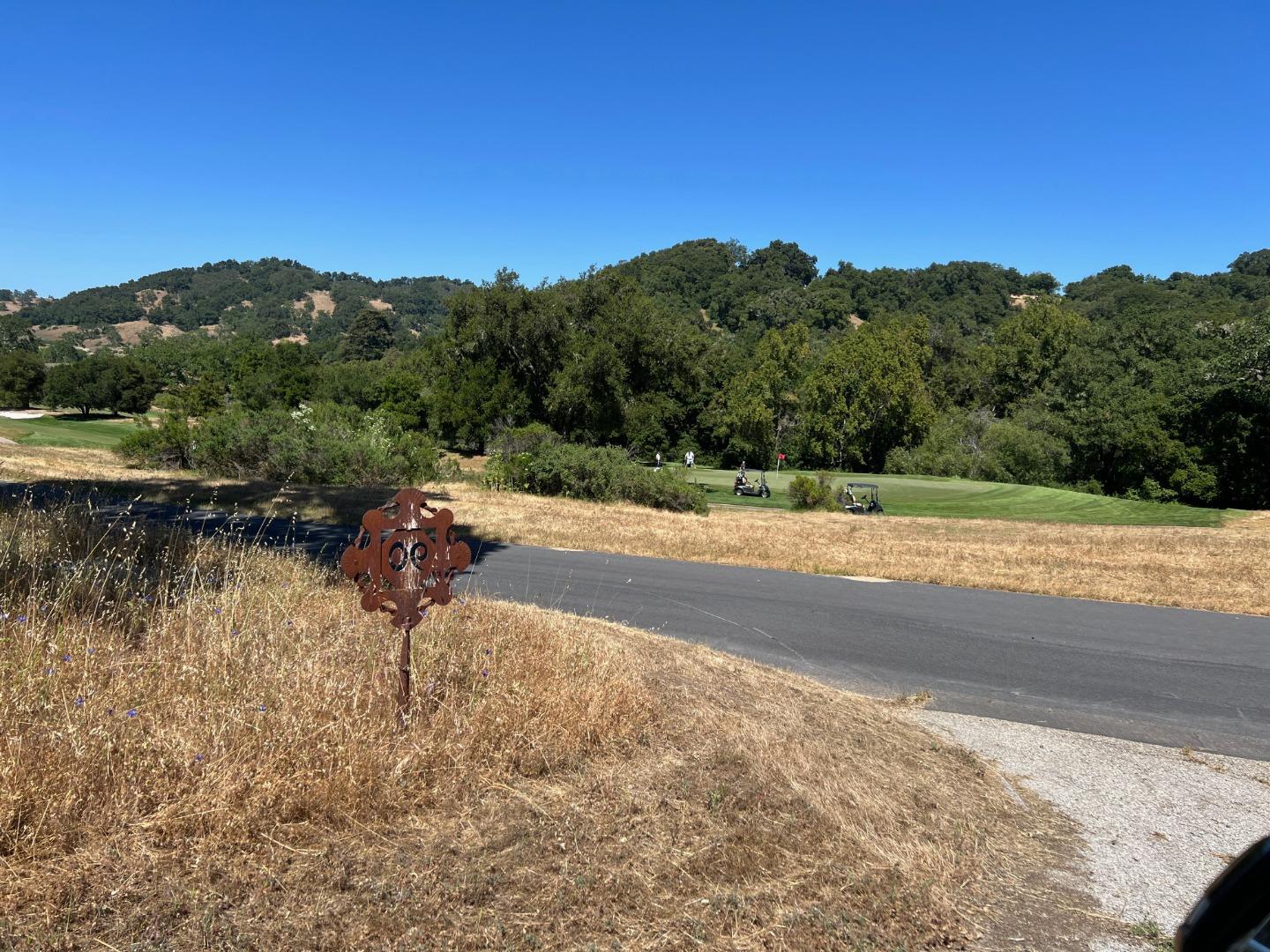6 Arroyo Sequoia