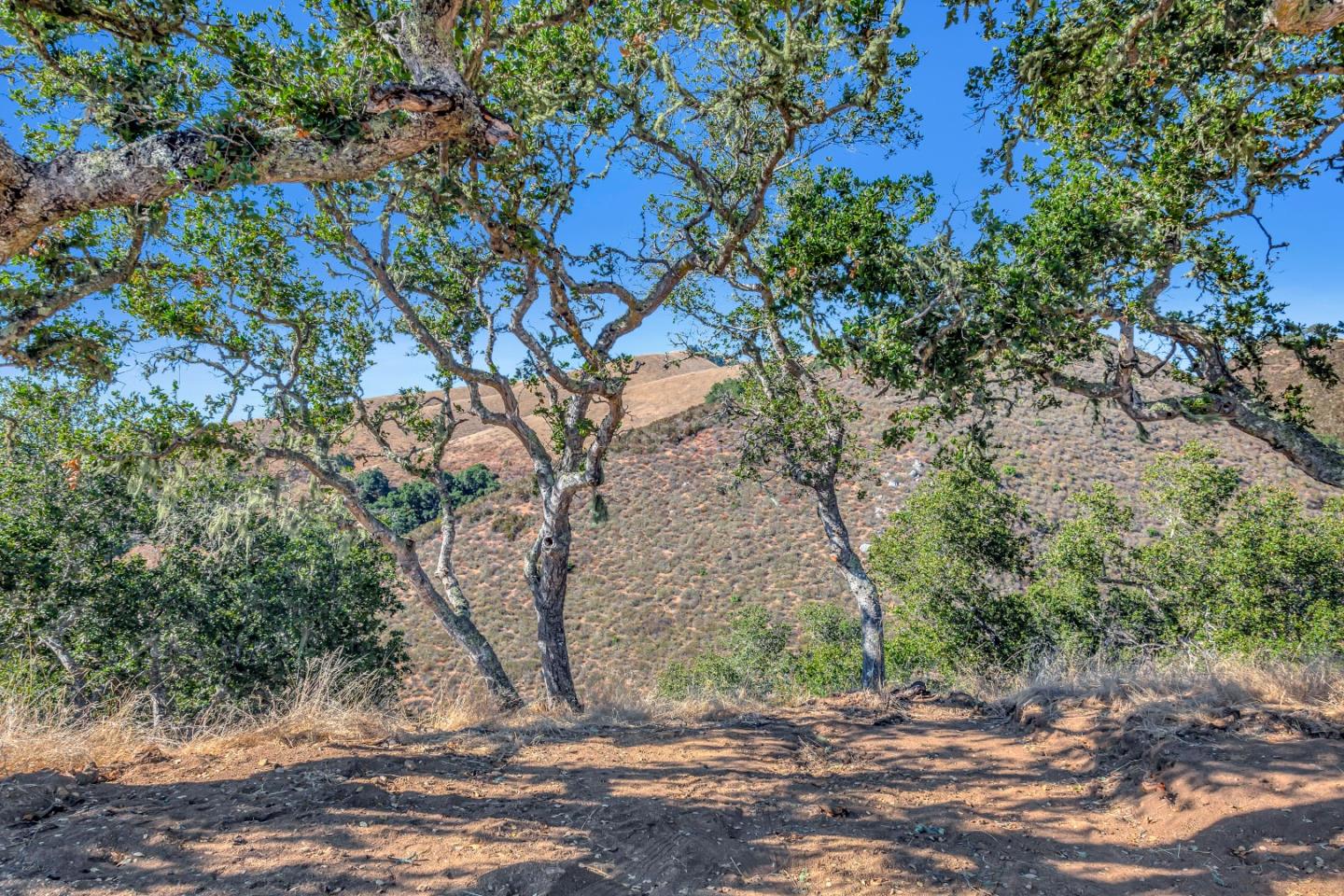 Weathertop Ranch, Lot#3, 500 El Caminito