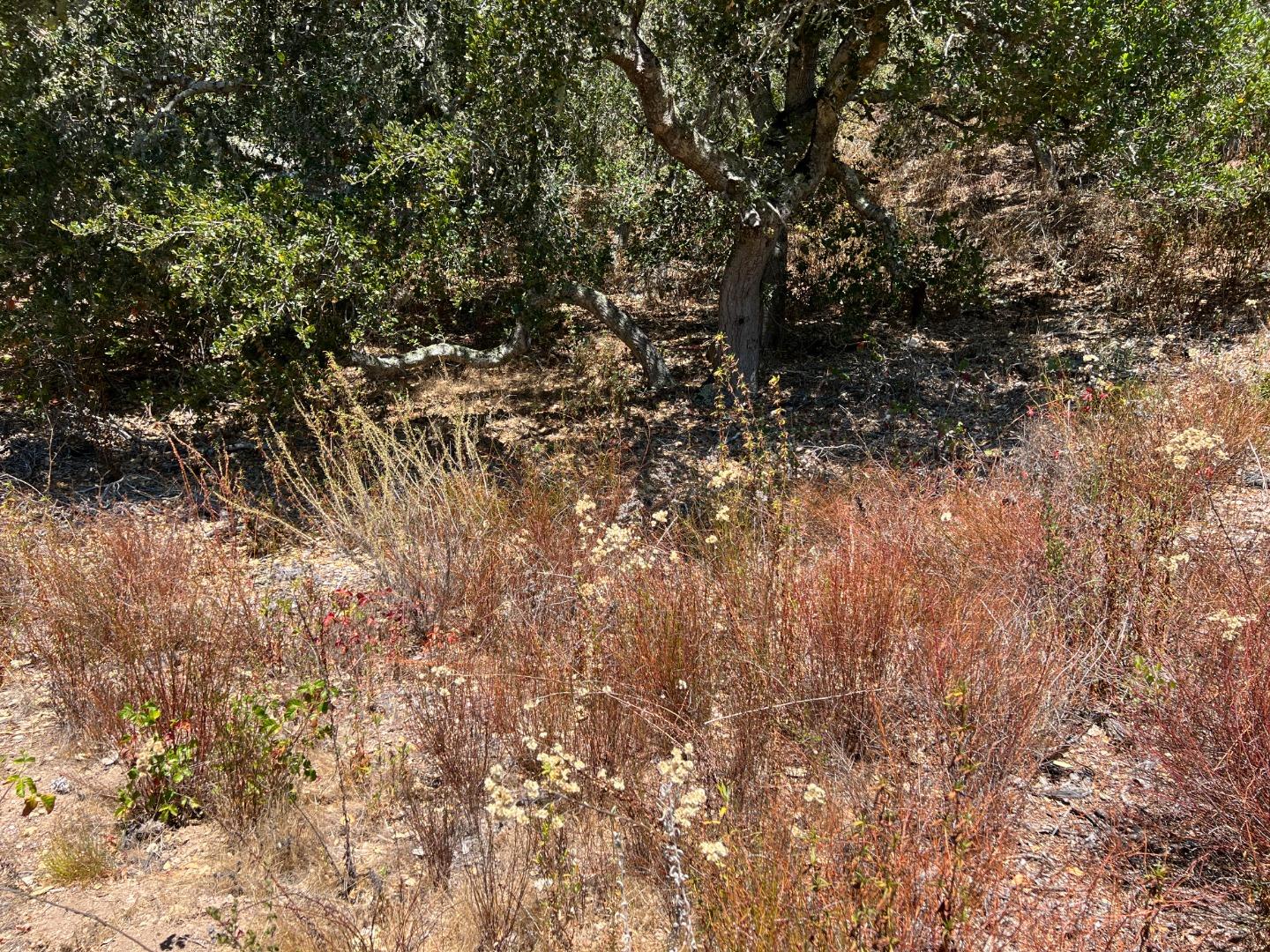 0 Country Club Heights