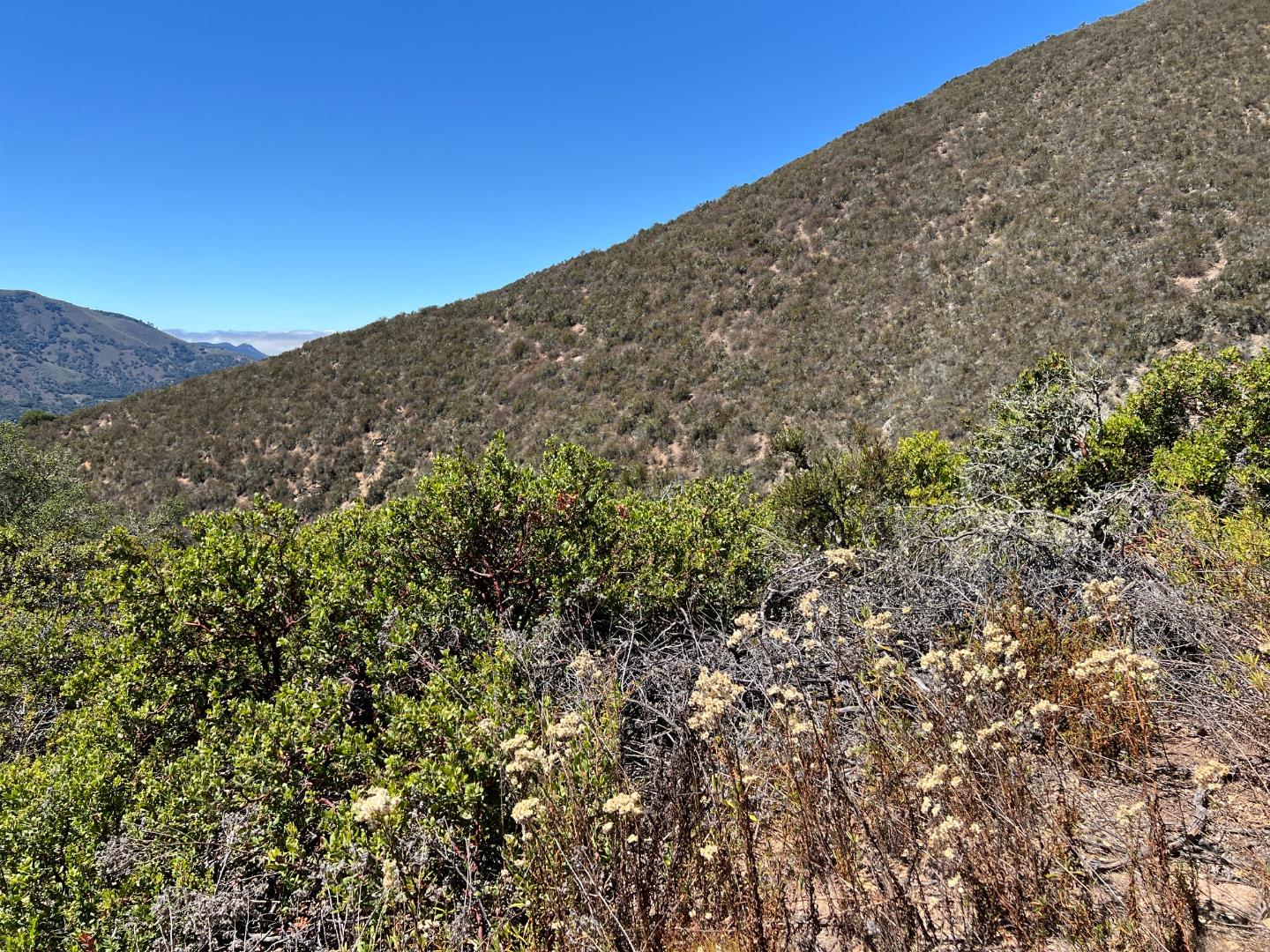 0 Country Club Heights