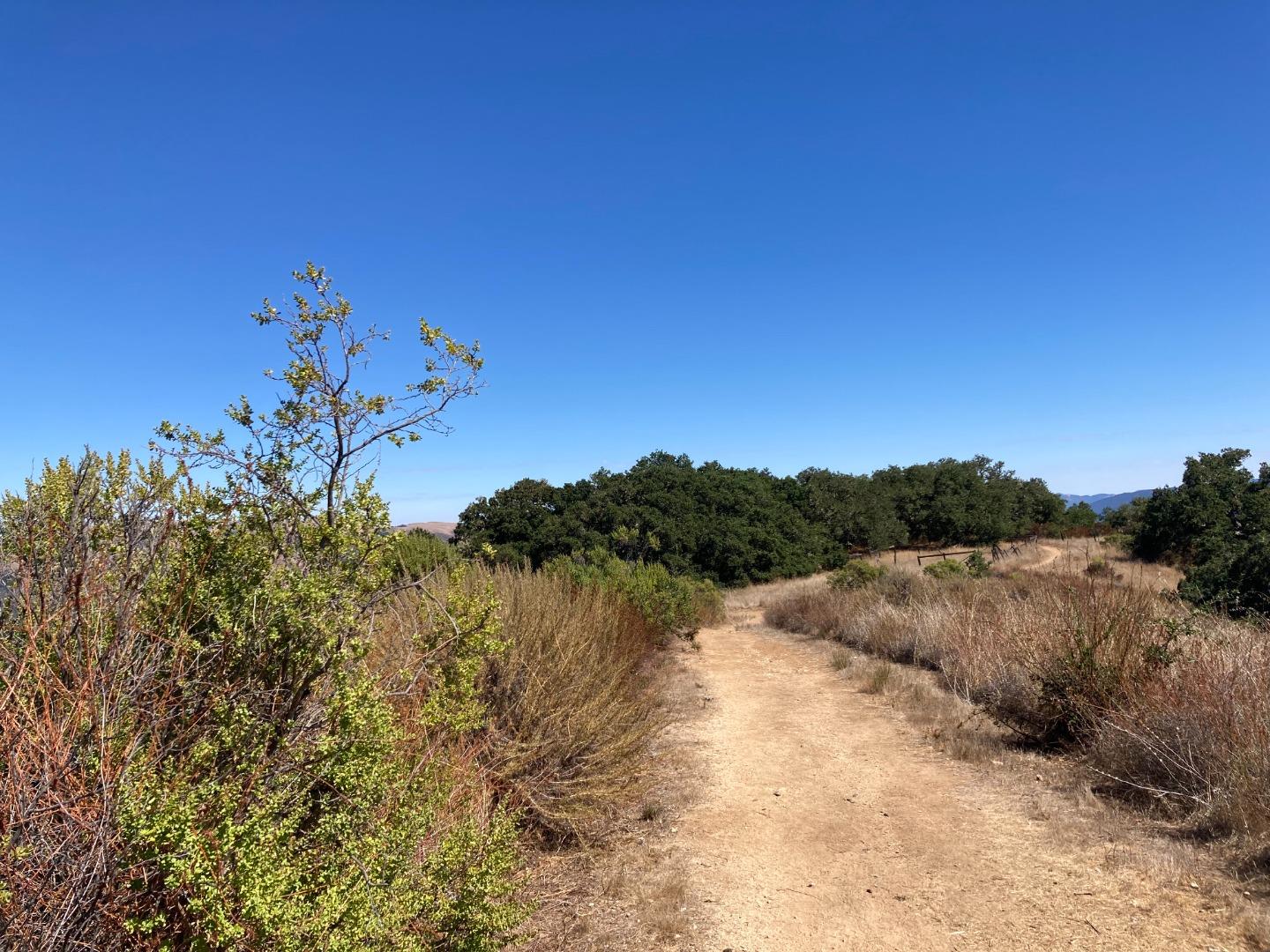 Adamo Ranch, Valley Road