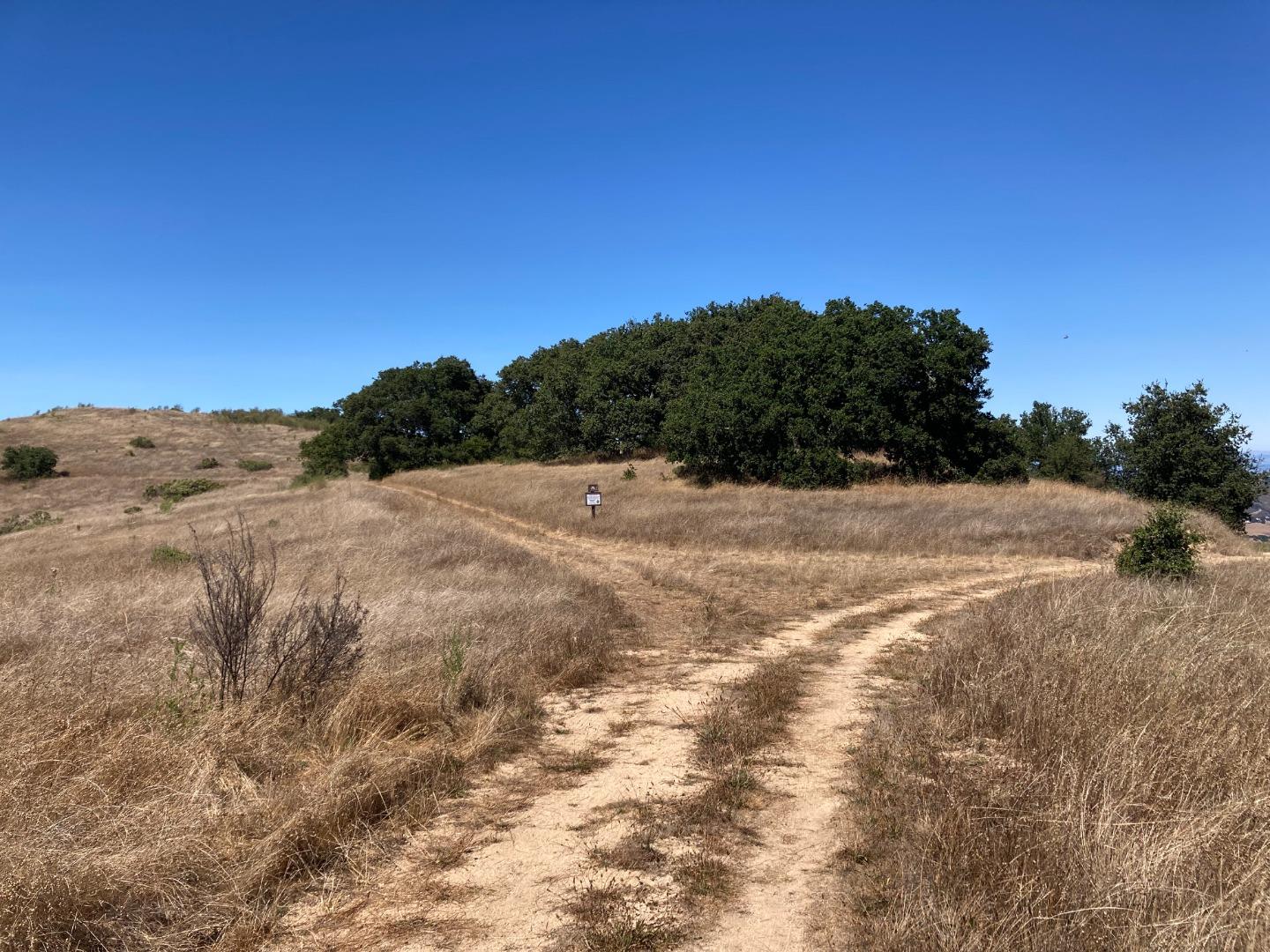 Adamo Ranch, Valley Road