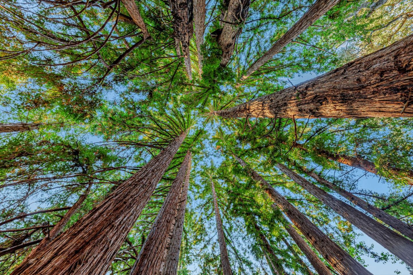 Adamo Ranch, Valley Road