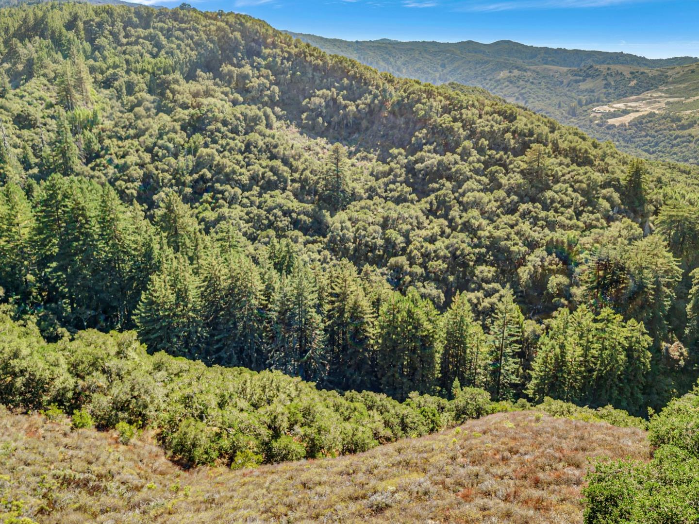 Adamo Ranch, Valley Road