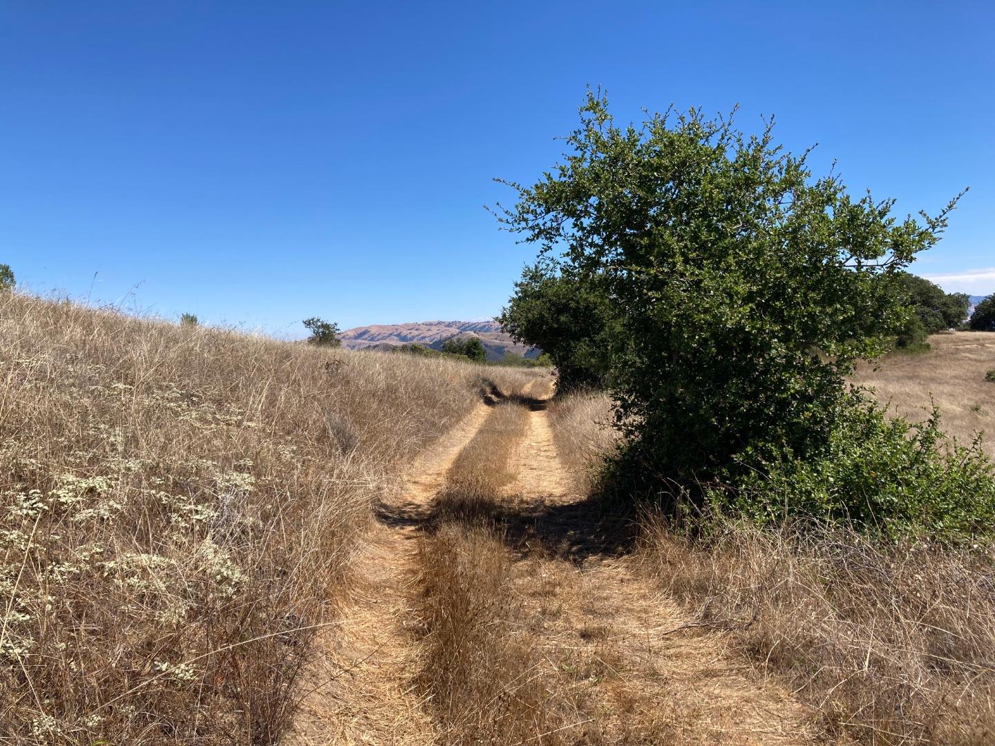 Adamo Ranch, Valley Road