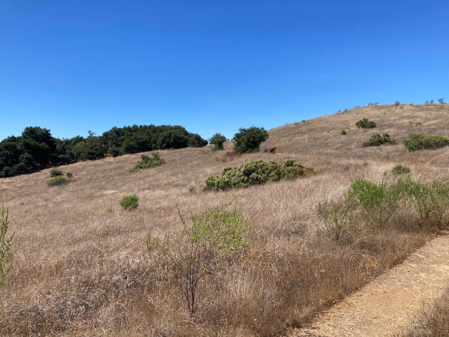 Adamo Ranch, Valley Road