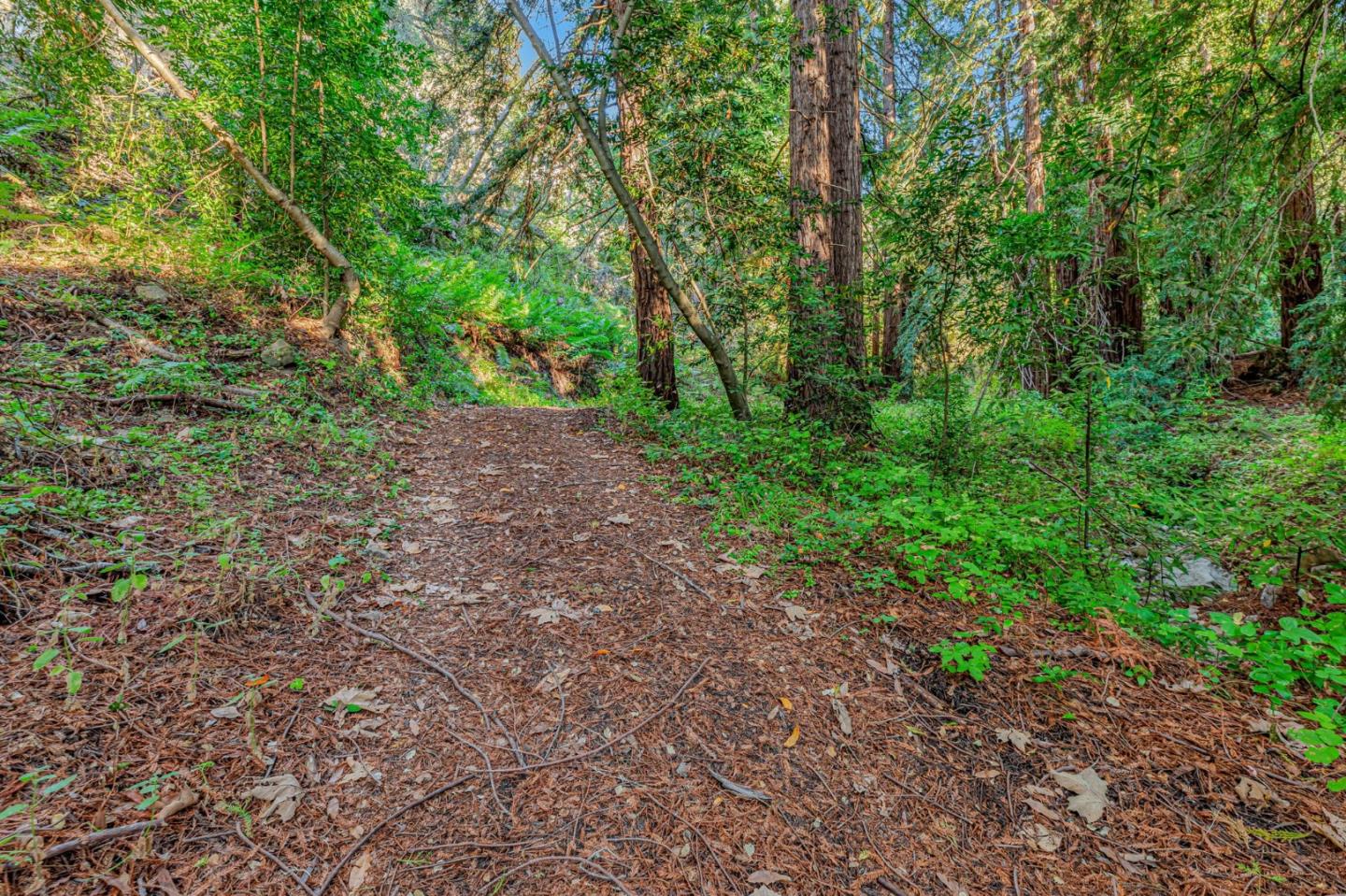 Adamo Ranch, Valley Road
