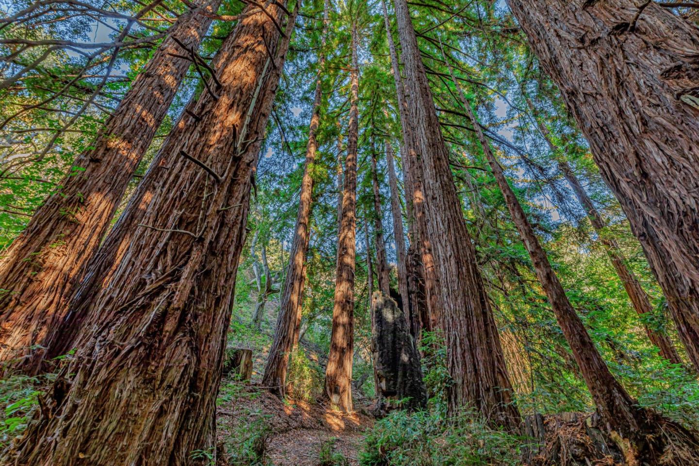 Adamo Ranch, Valley Road