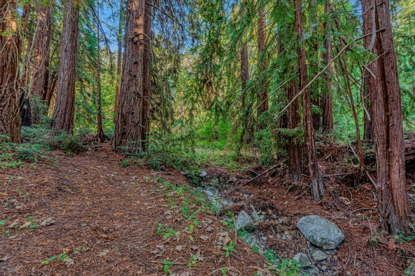Adamo Ranch, Valley Road