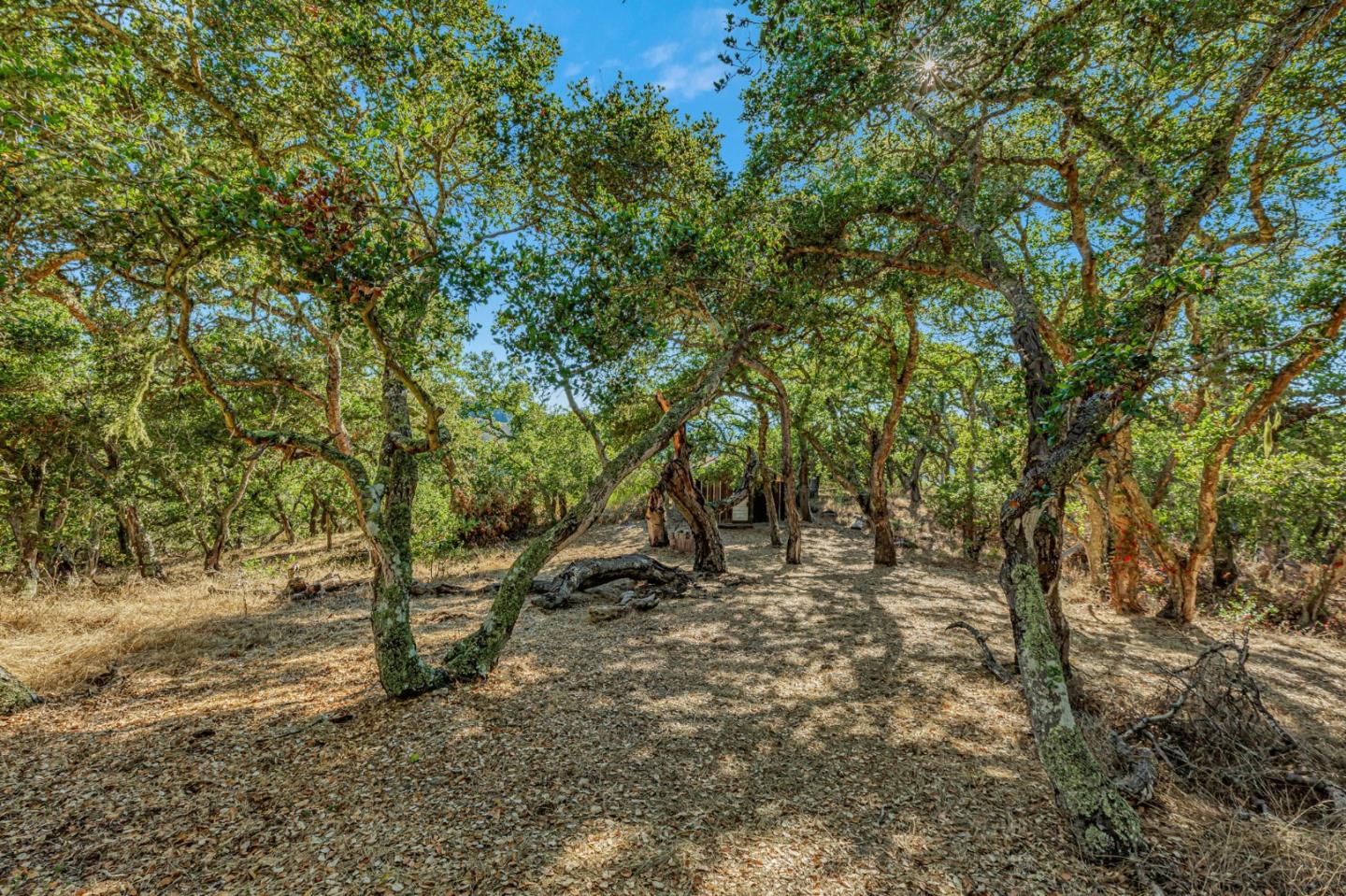 Adamo Ranch, Valley Road