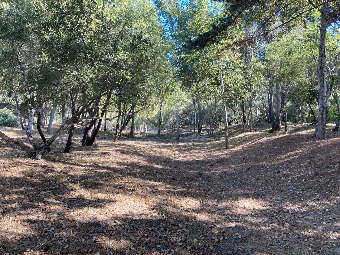 Adamo Ranch, Valley Road