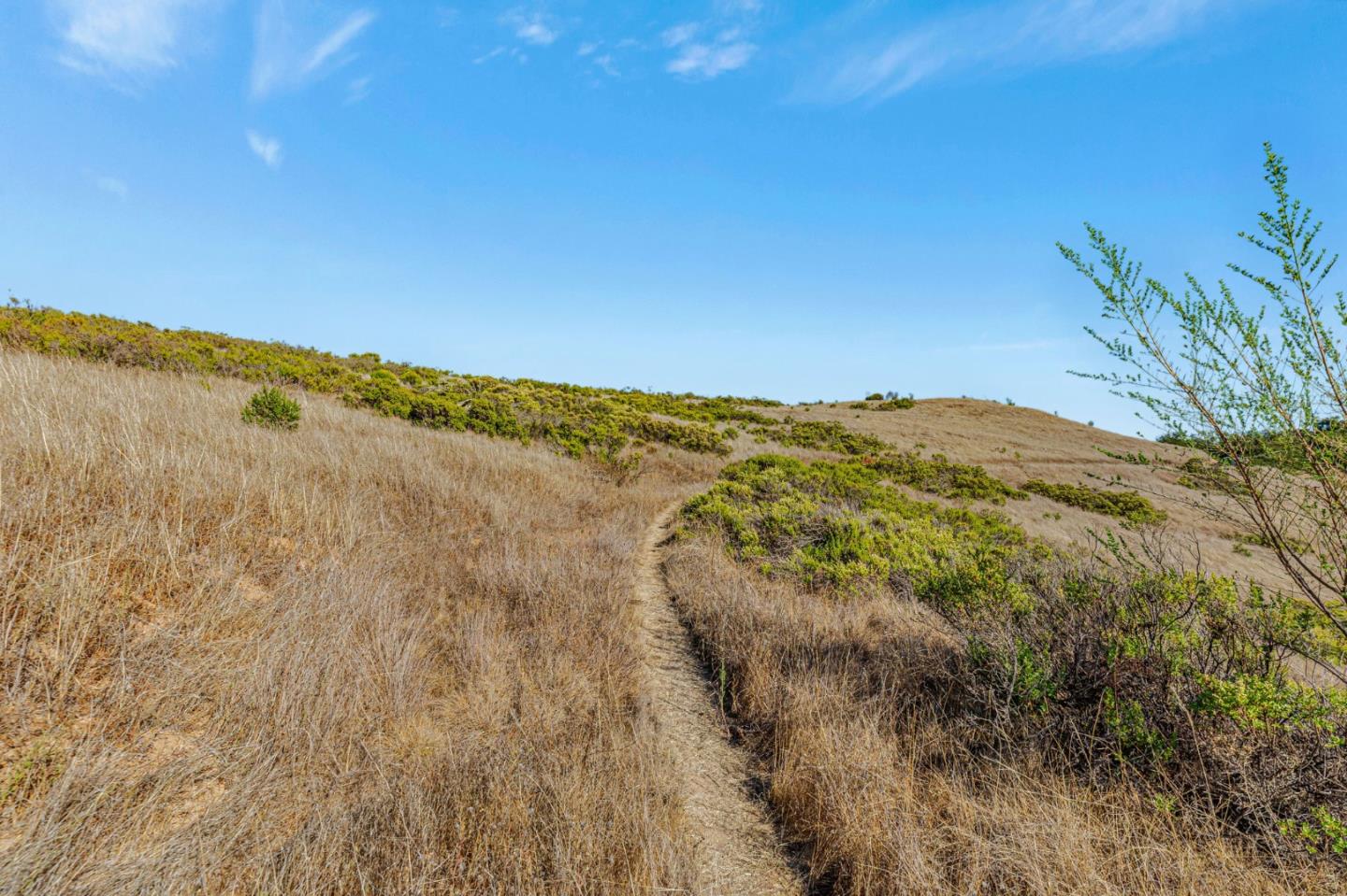 Adamo Ranch, Valley Road
