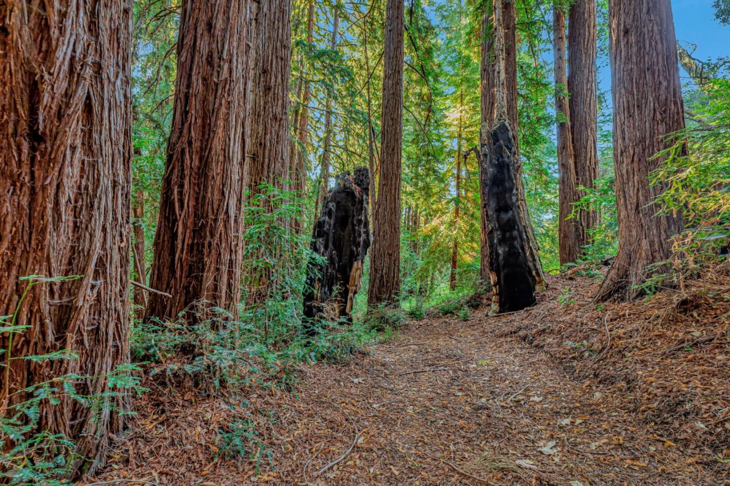 Adamo Ranch, Valley Road