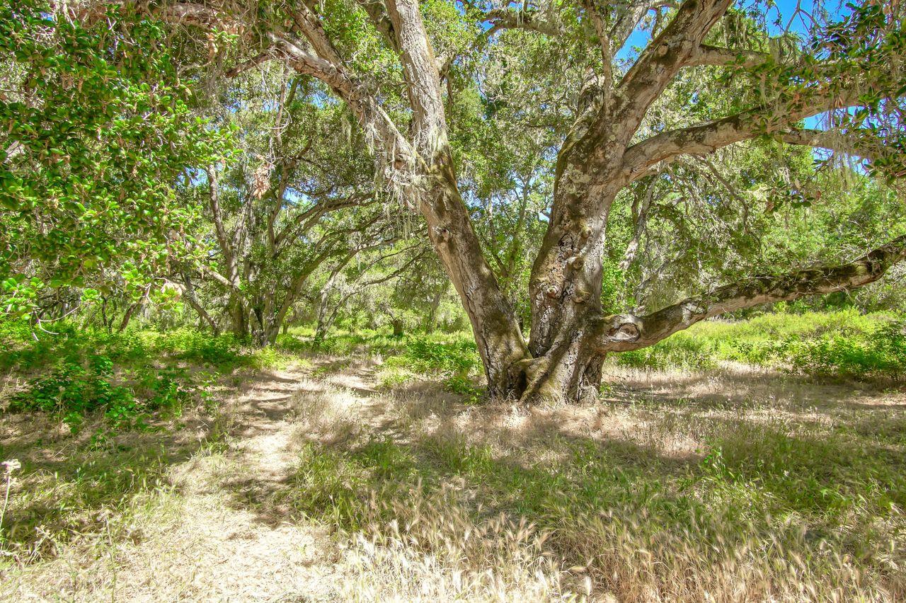 36000 East Carmel Valley