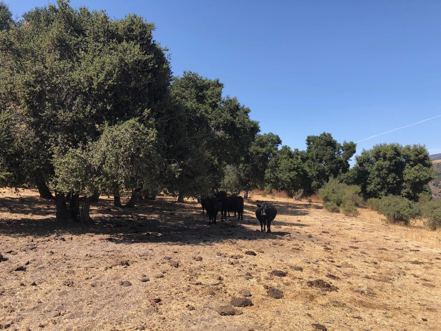 36000 East Carmel Valley