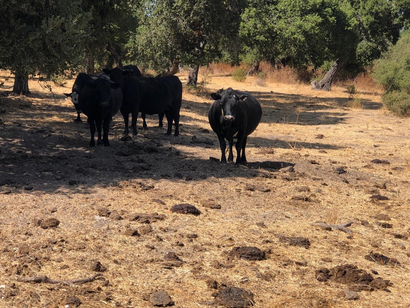 36000 East Carmel Valley