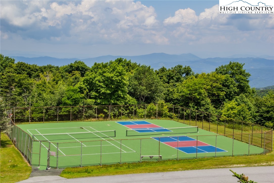 301 Pinnacle Inn Road 3209