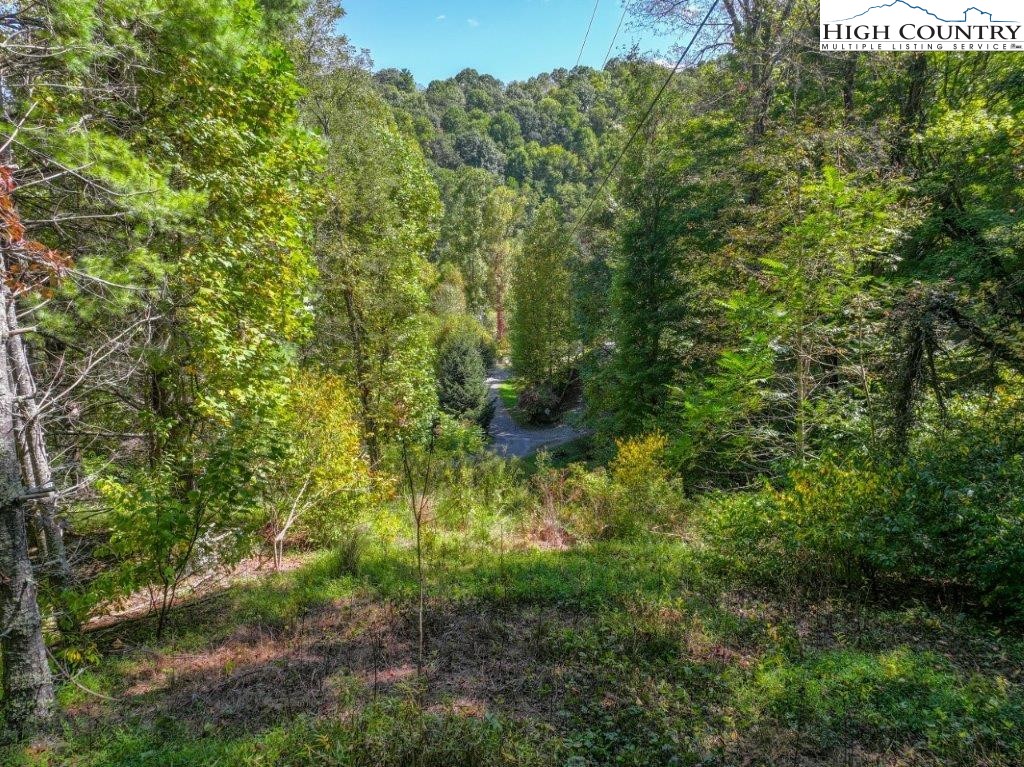 TBD Rocky Knob Trail
