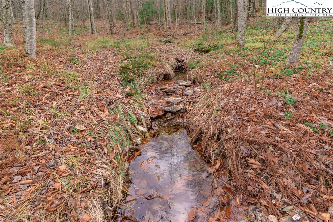 Lot 62 Rippling Waters Trail