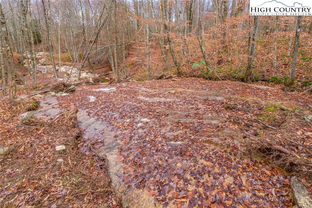 Lot 62 Rippling Waters Trail