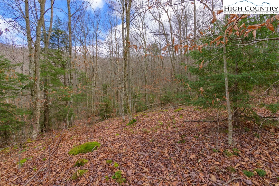Lot 62 Rippling Waters Trail