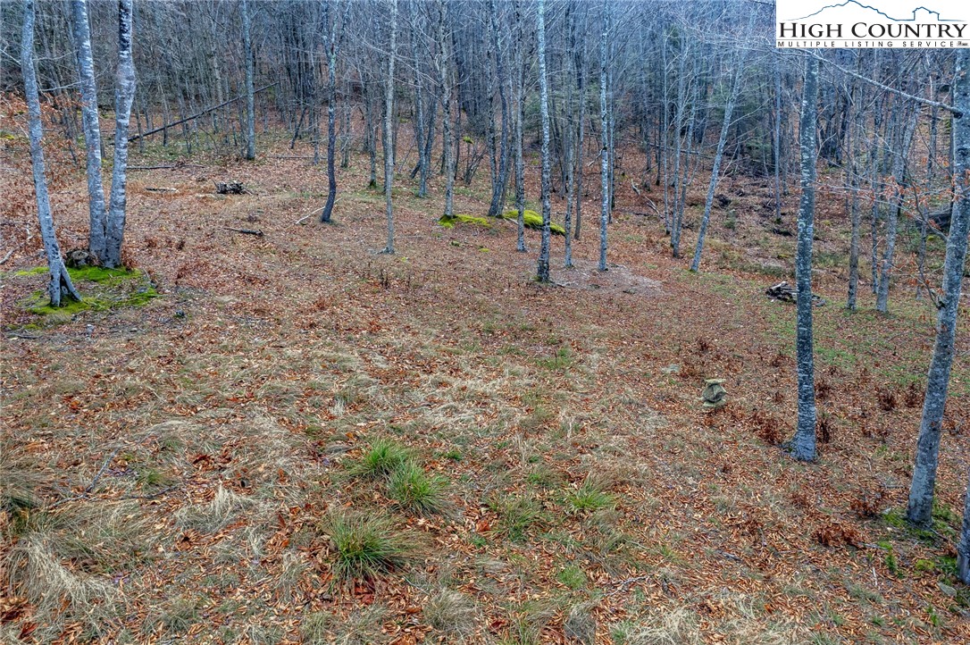 Lot 62 Rippling Waters Trail