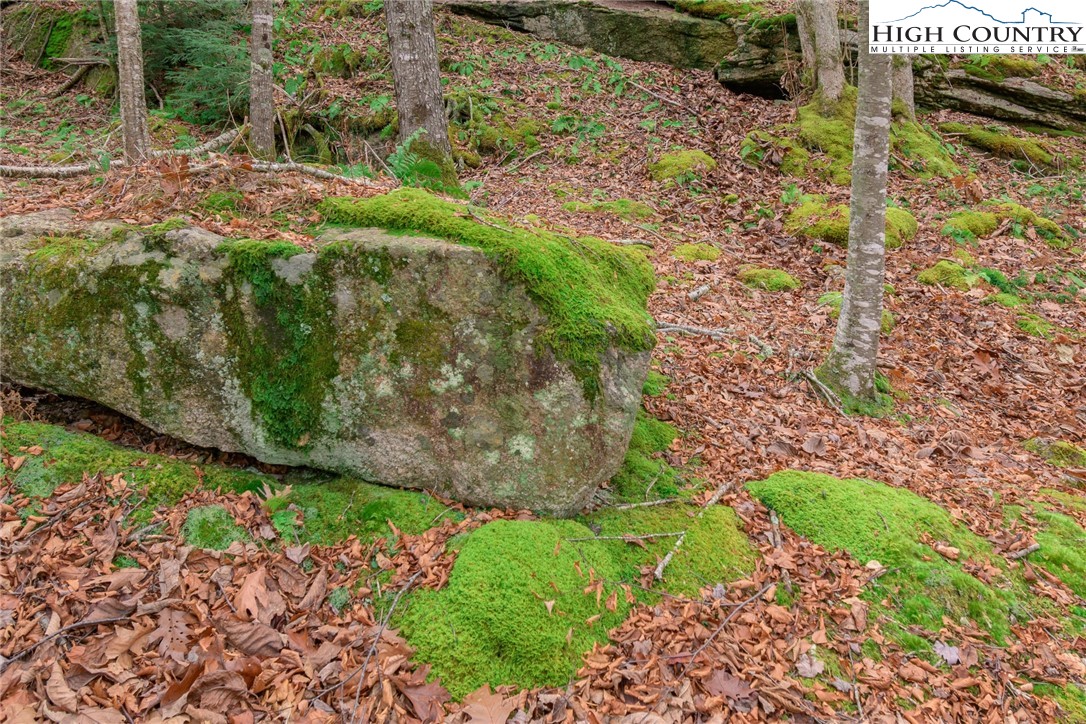 Lot 62 Rippling Waters Trail